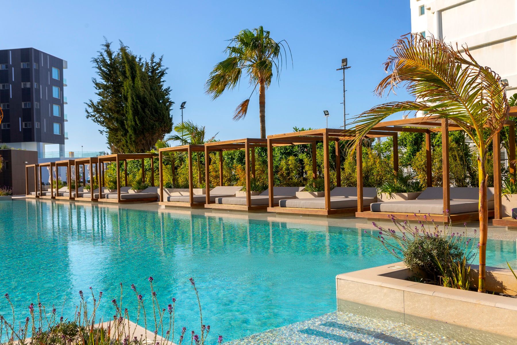 Chrysomare Beach Hotel and Resort - zdjęcie 2