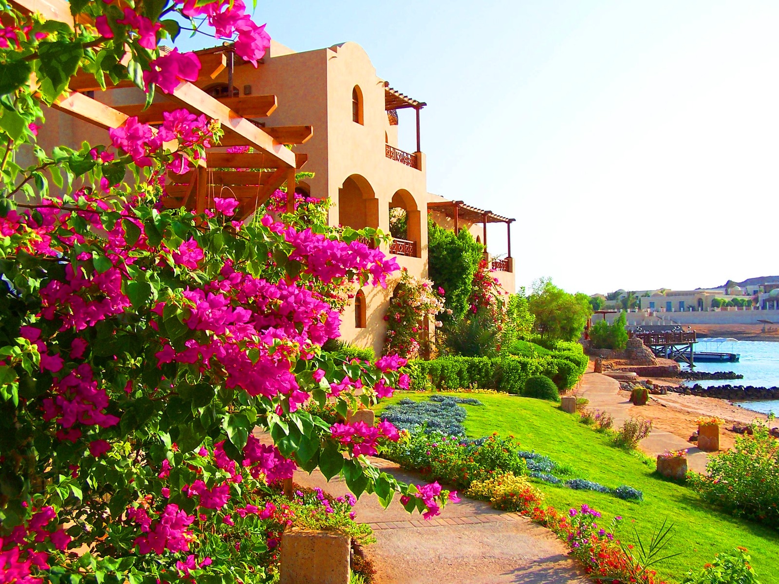 Sultan Bey Hotel — El Gouna, Red Sea