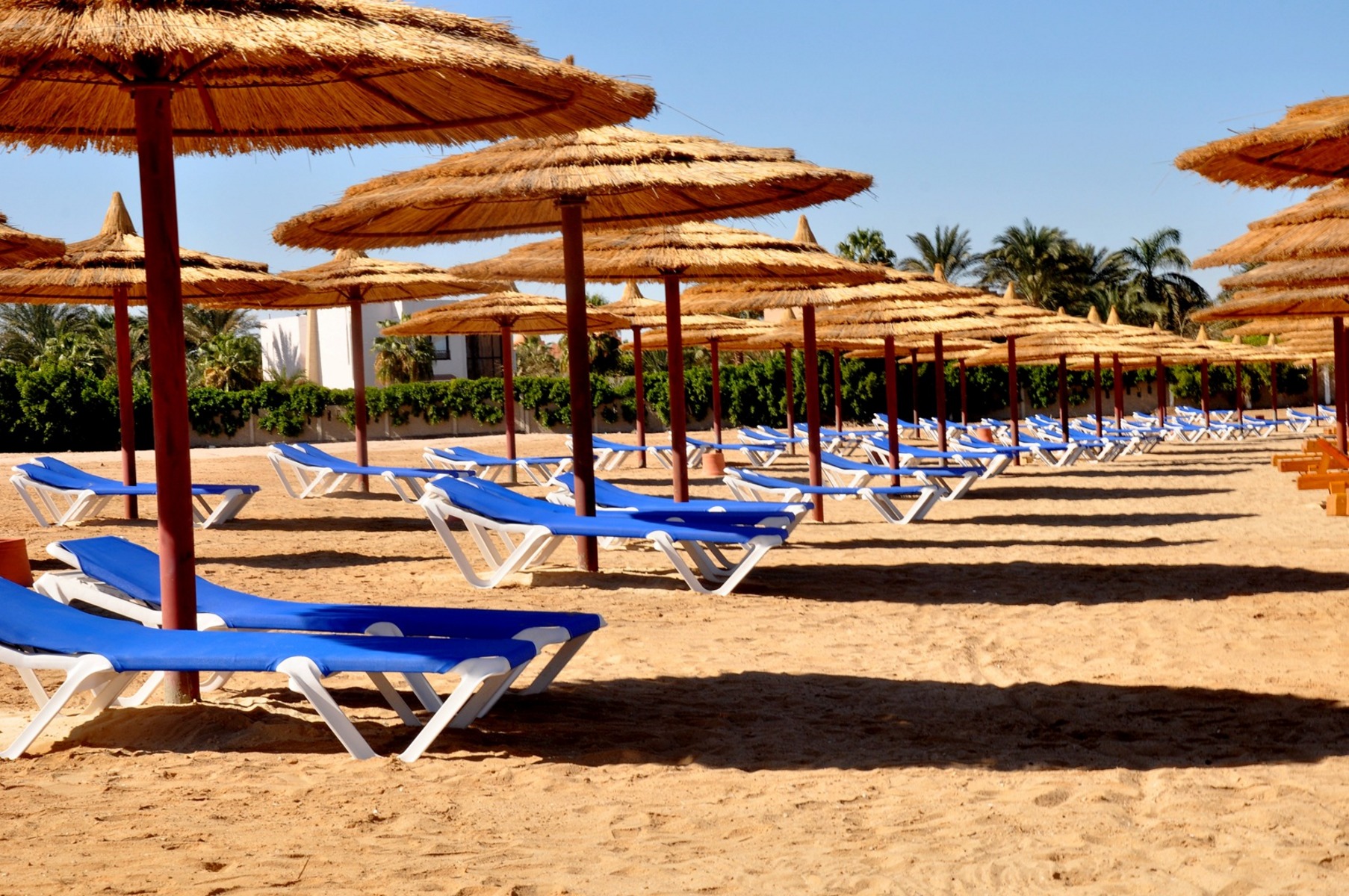 Jasmine Palace Resort & Spa — Hurghada, Red Sea