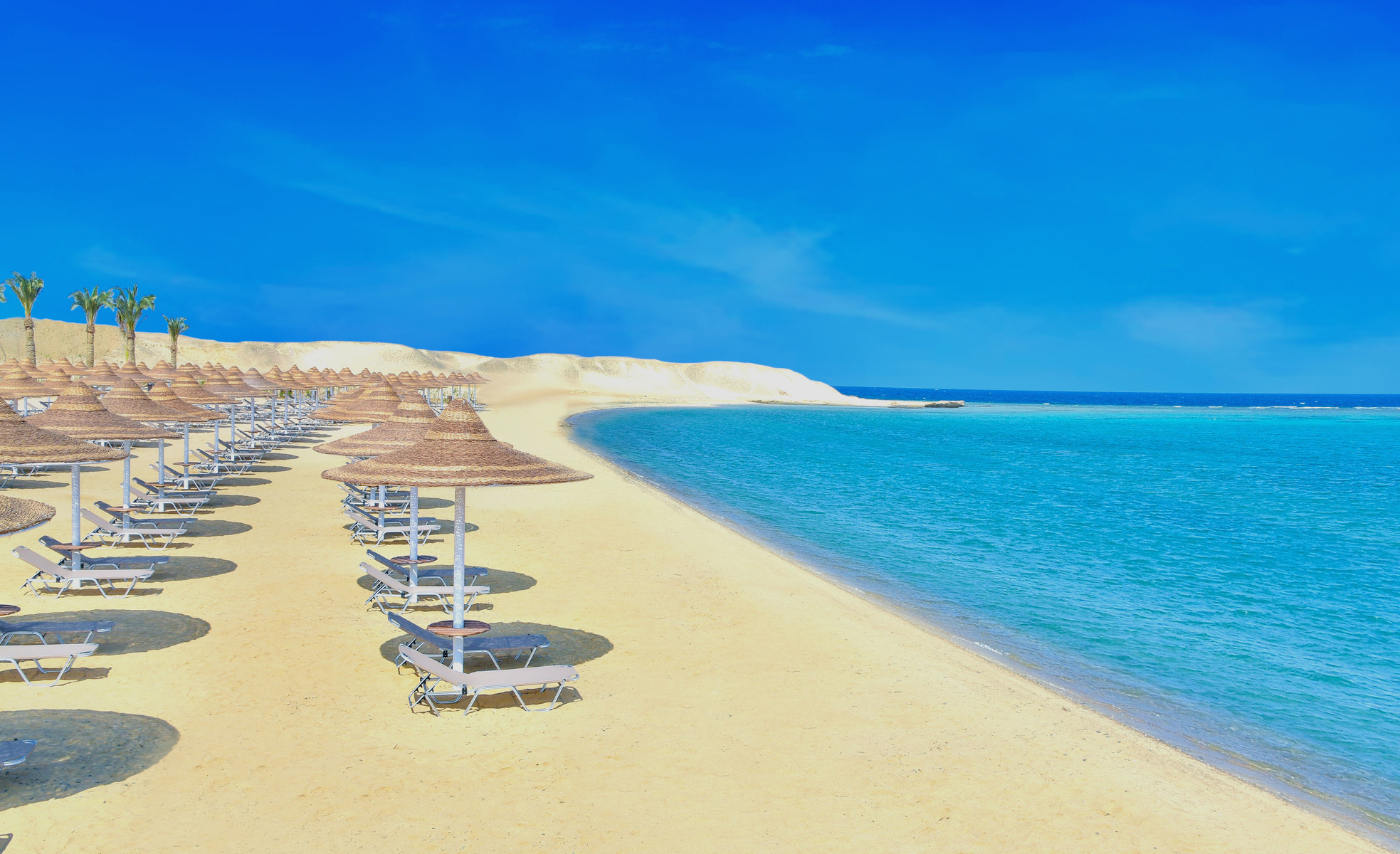 JAZ Costa Mares - Adults Only 16+ — Marsa Alam, Red Sea