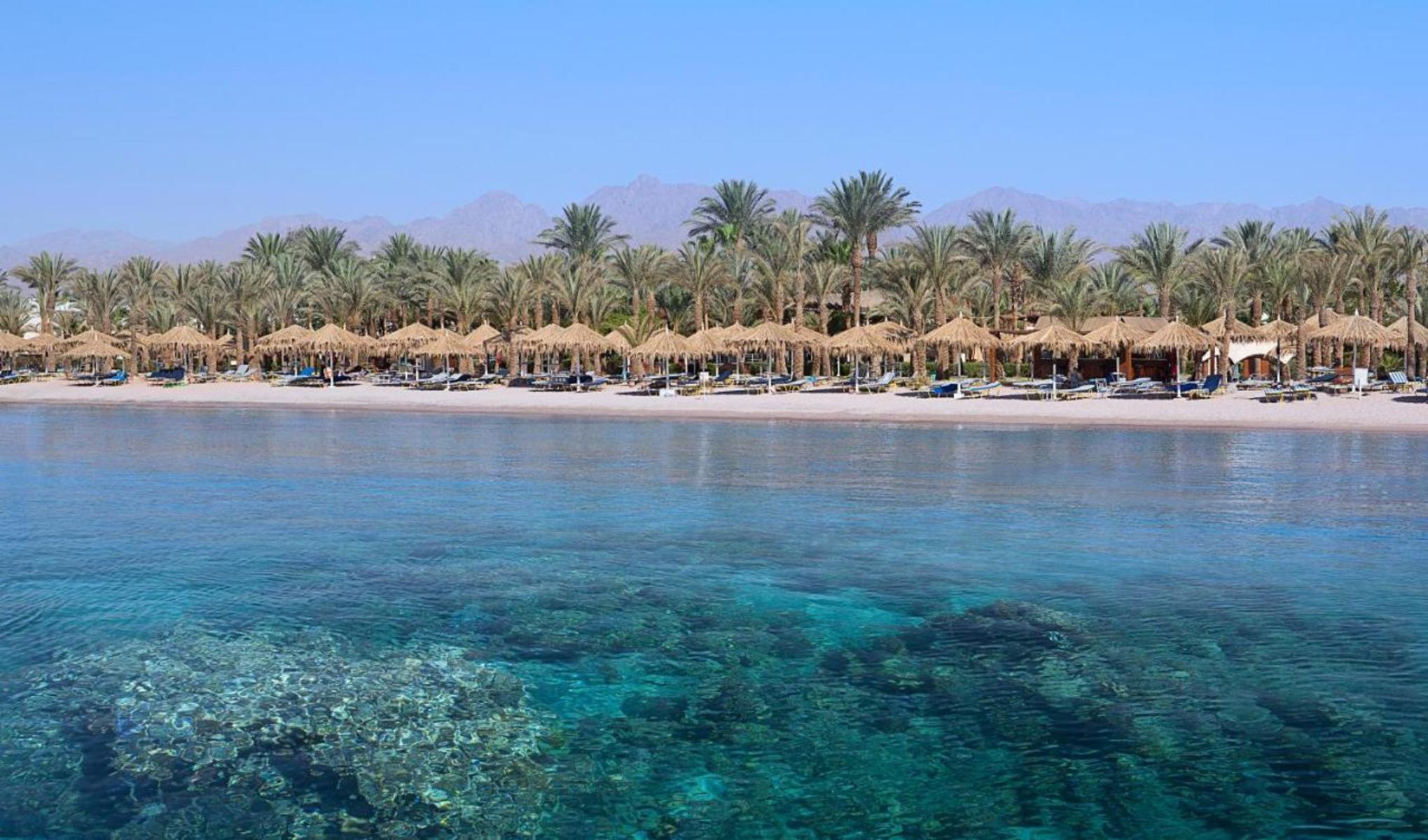 JAZ Sharm Dreams — Sharm El Sheikh, South Sinai