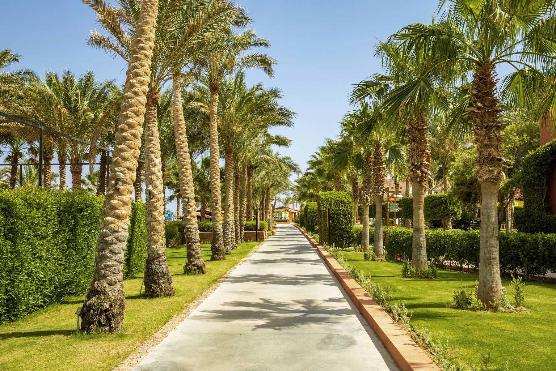 TUI MAGIC LIFE Redsina Sharm El Sheikh — Sharm El Sheikh, South Sinai