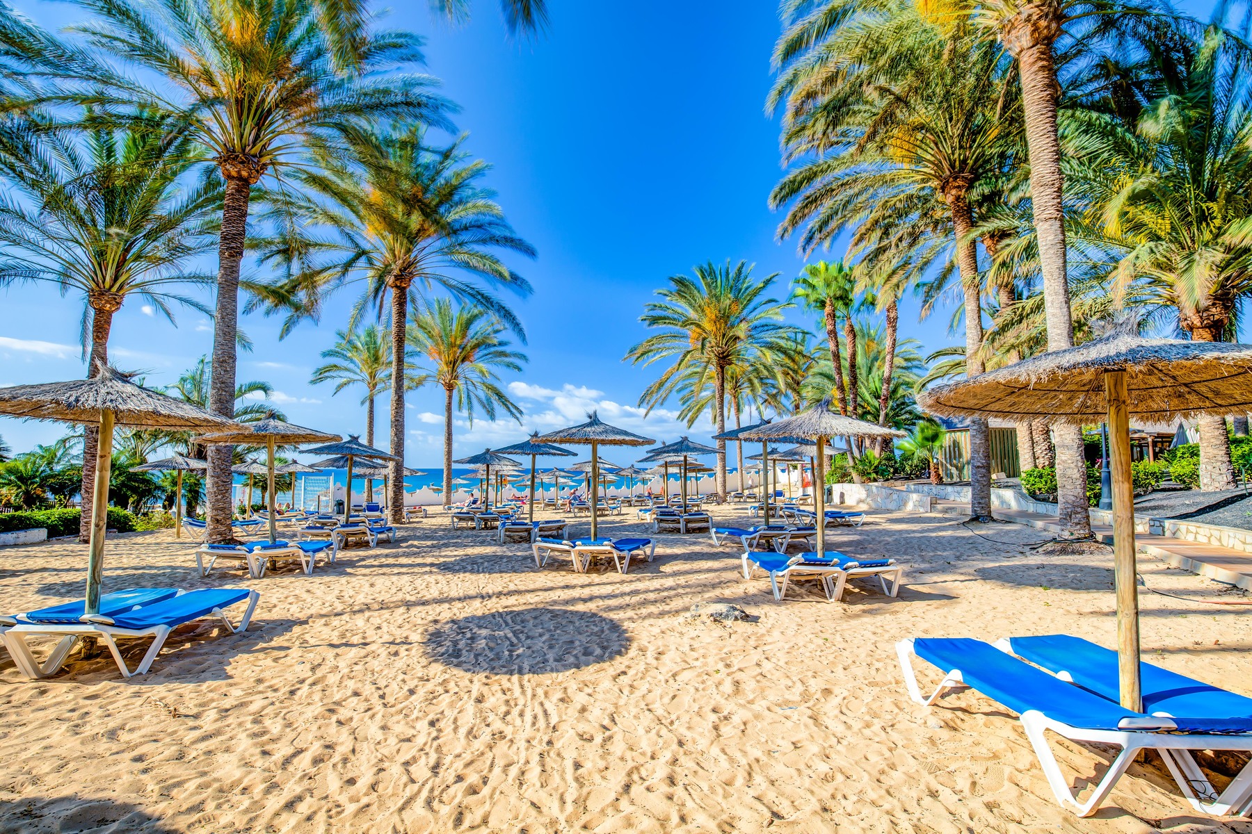 SBH Costa Calma Beach Resort — Costa Calma, Canary Islands
